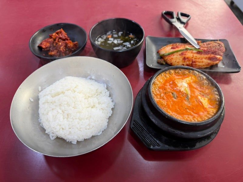 돌고래